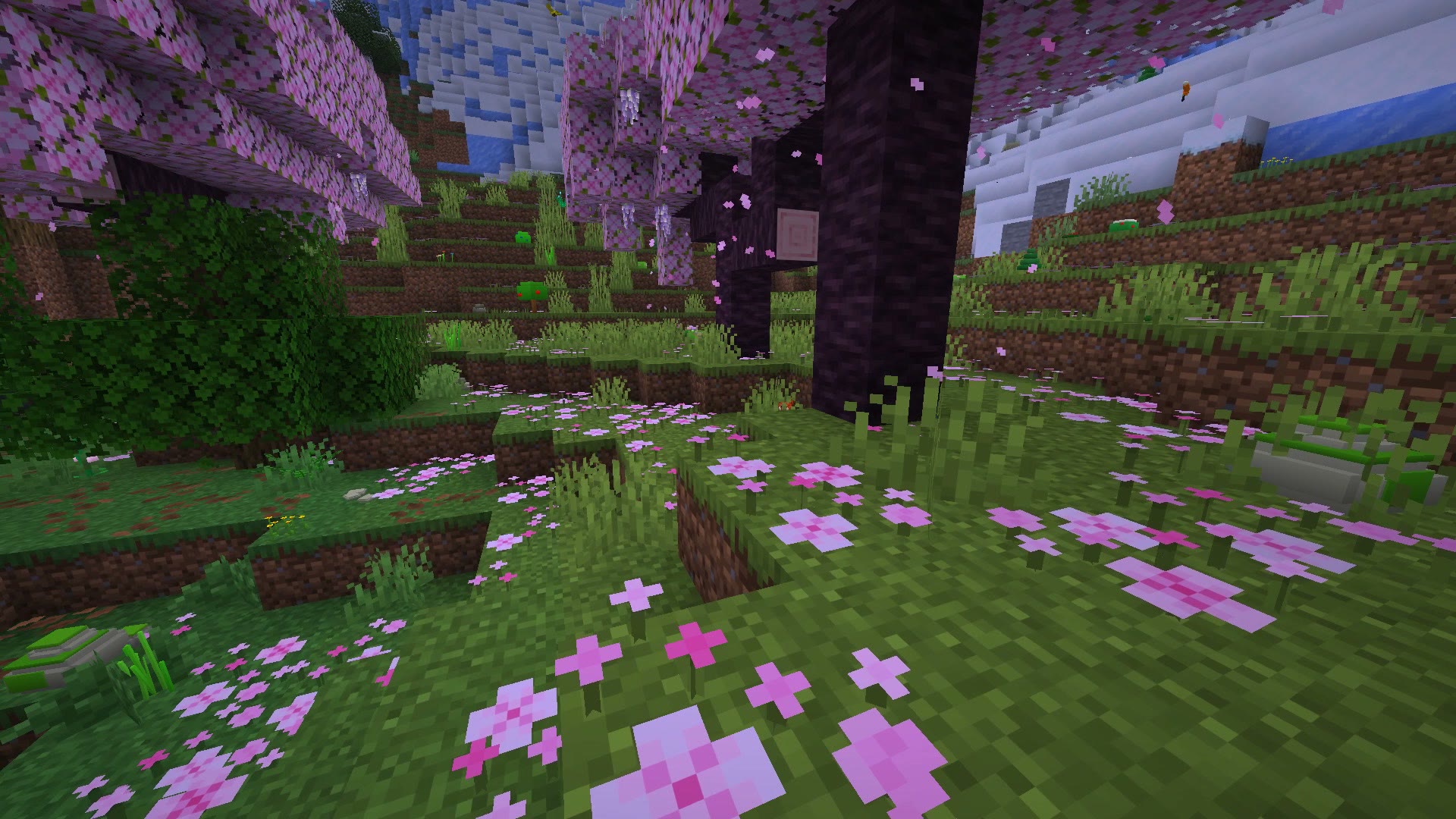 Pink petals in a cherry grove