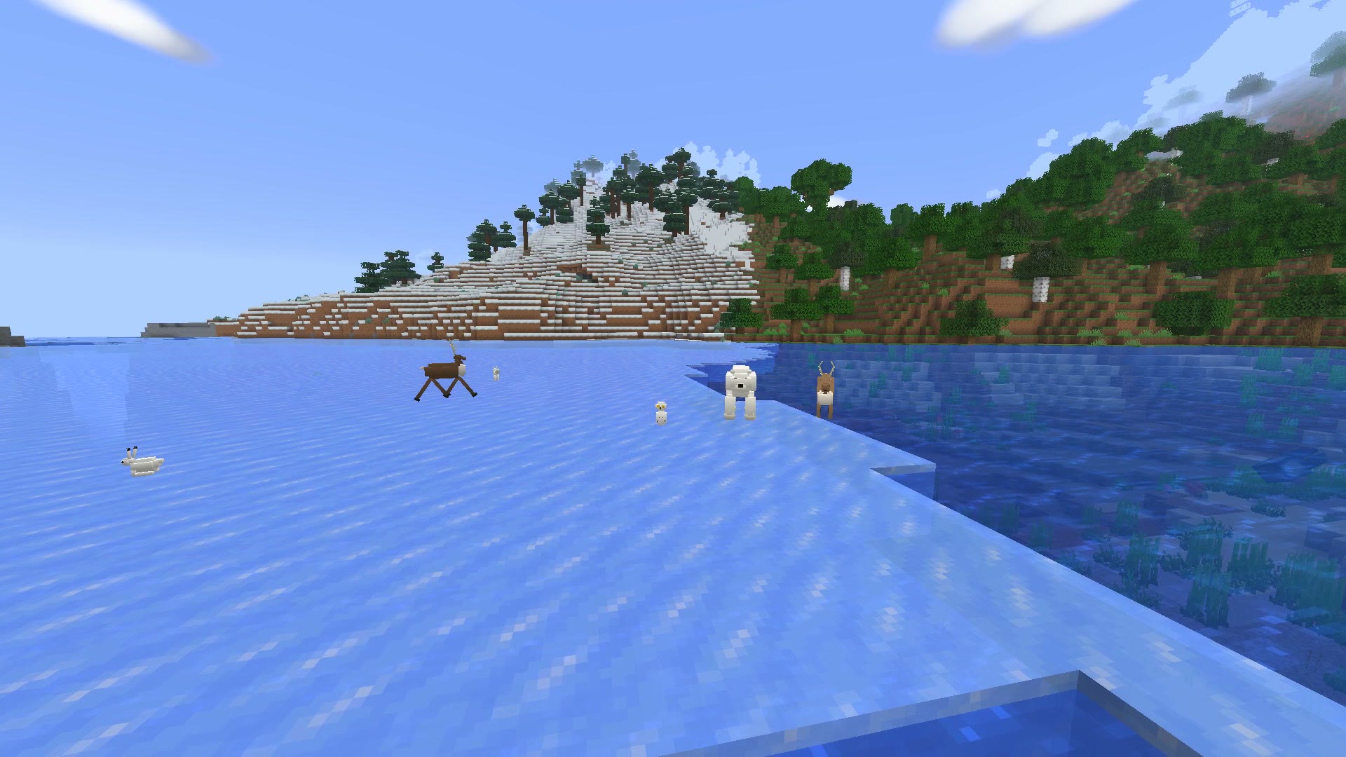 Frozen ocean with snow animals