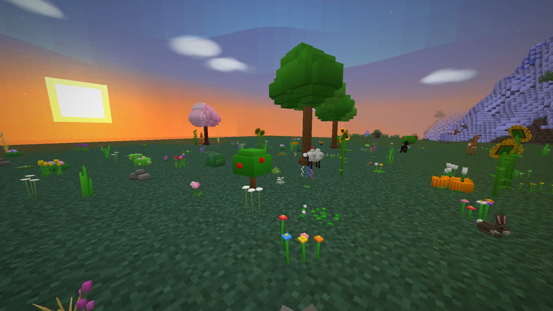 Meadow at sunset